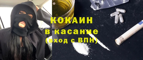 шишки Богородицк